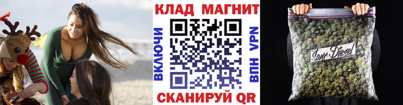 Купить закладку Кудрово ГАШИШ  Псилоцибиновые грибы  Мефедрон 