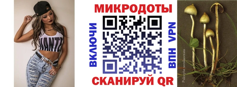 наркота  Кудрово  Псилоцибиновые грибы мухоморы 